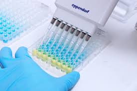 Bioanalytical Services 