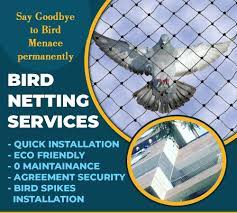 Bird Netting Service