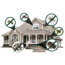 Household Pest Control