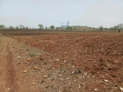 Resale agricult