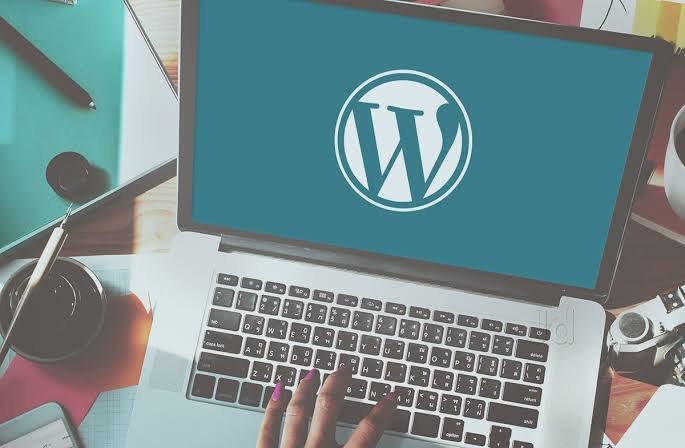 Wordpress Developer